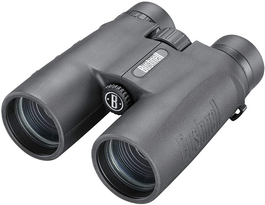 Bushnell-10x42mm